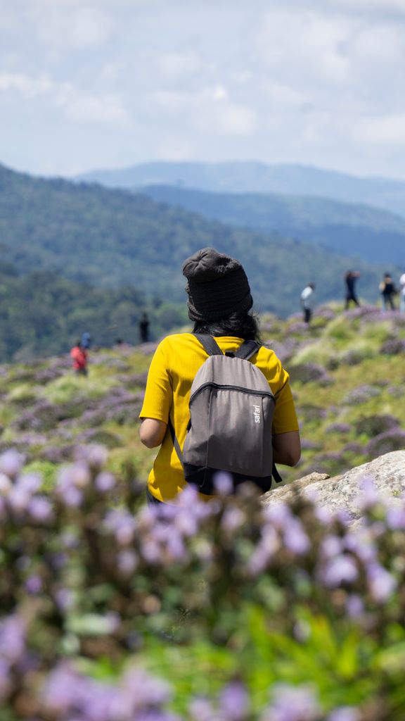A hiker wearing a yellow shirt enjoys a scenic mountain view surrounded by wildflowers.