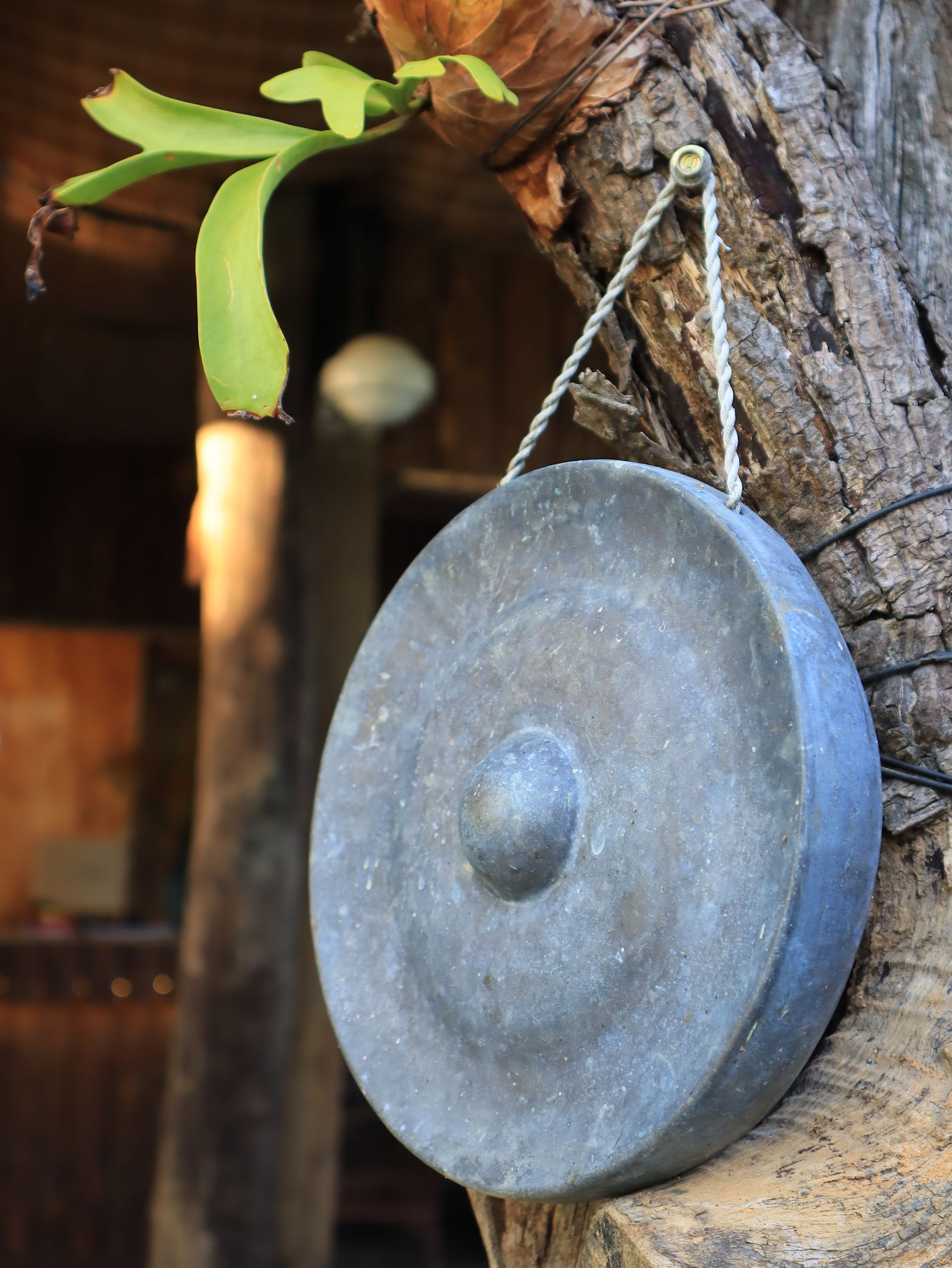 A traditional gong hanging on a tree in Kon Tum, Vietnam, showcasing cultural heritage.