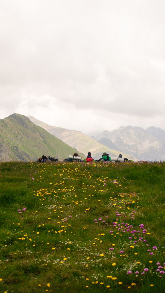 Experience tranquility amidst wildflowers in this breathtaking mountain landscape, perfect for nature lovers.